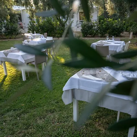 Holiday home Ulivo Mit Pool Und Privatstrand *