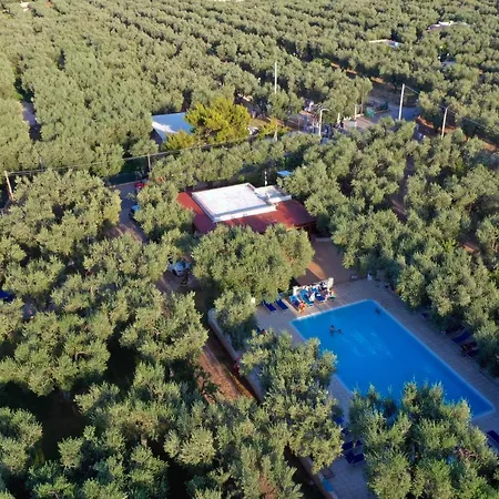 Holiday home Ulivo Mit Pool Und Privatstrand *