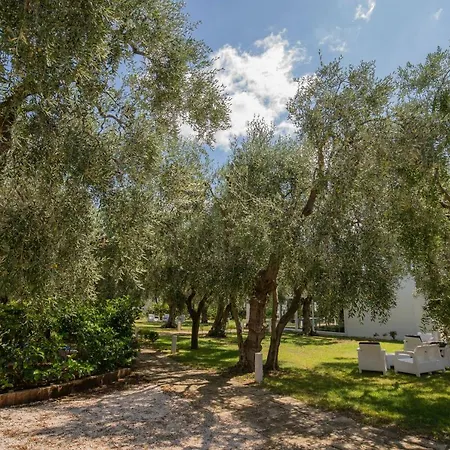 Ulivo Mit Pool Und Privatstrand