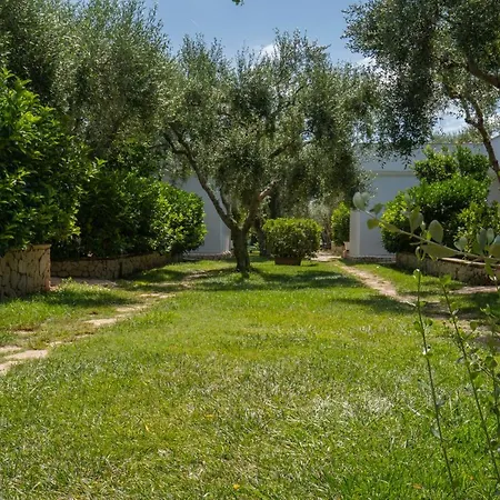 Ulivo Mit Pool Und Privatstrand