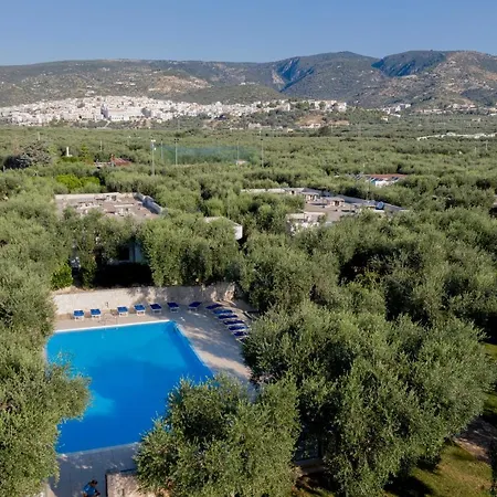 Ulivo Mit Pool Und Privatstrand Holiday home Mattinata