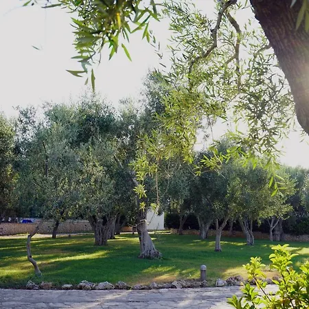 Ulivo Mit Pool Und Privatstrand Mattinata