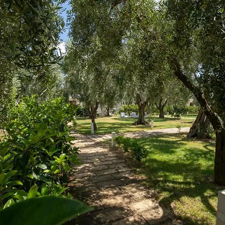 Ulivo Mit Pool Und Privatstrand Holiday home Mattinata