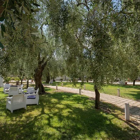 Ulivo Mit Pool Und Privatstrand Holiday home