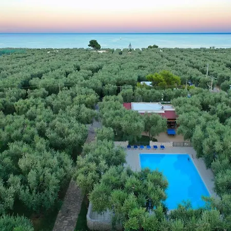 Ulivo Mit Pool Und Privatstrand *