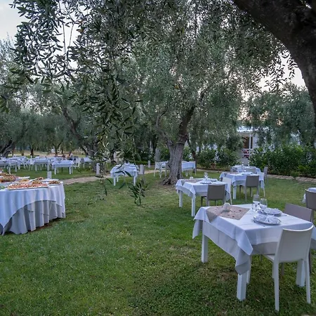 Ulivo Mit Pool Und Privatstrand