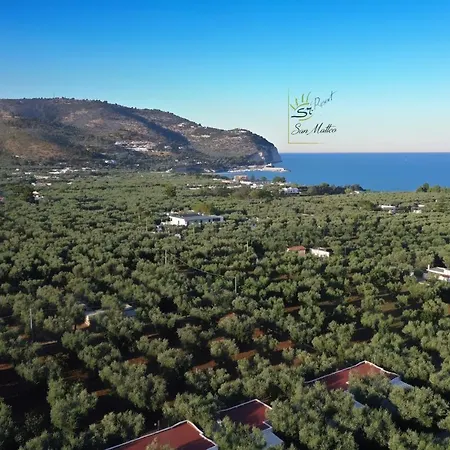Ulivo Mit Pool Und Privatstrand Holiday home Mattinata